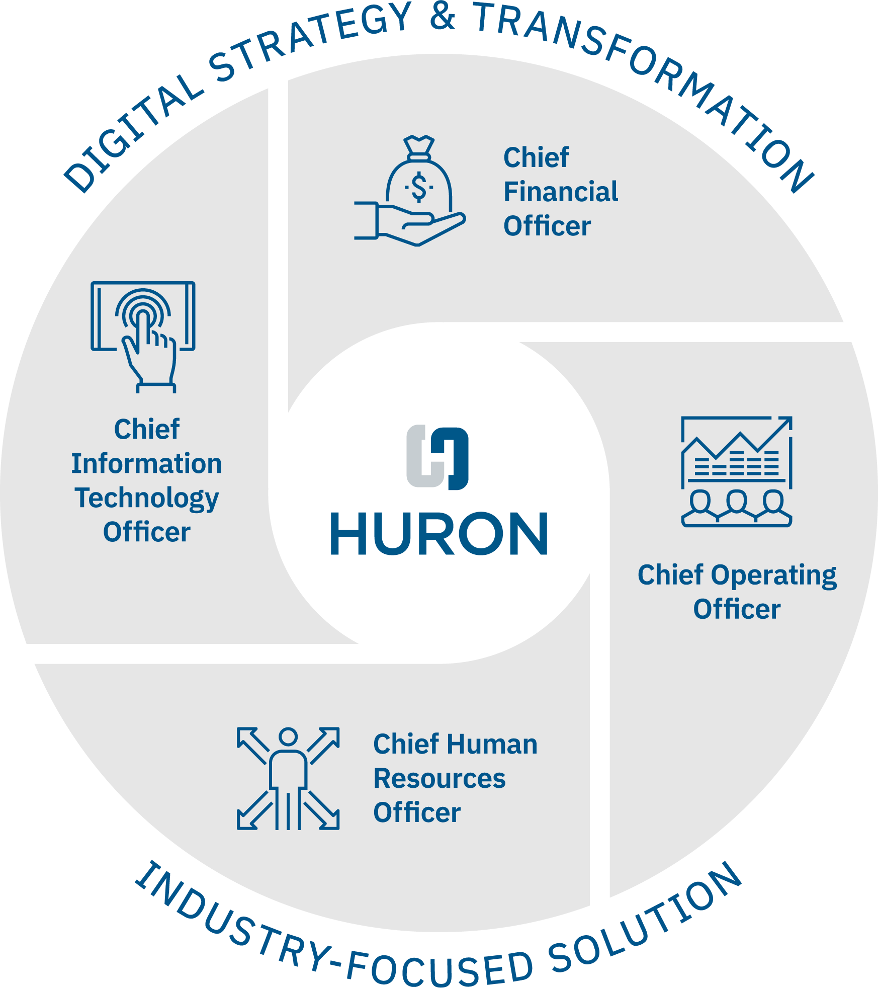 Huron’s Oracle capabilities