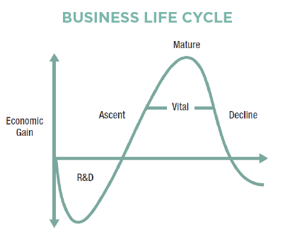 Controlled Chaos: Executing Turnarounds in the Face of Disruption - Business Life Cycle Graph