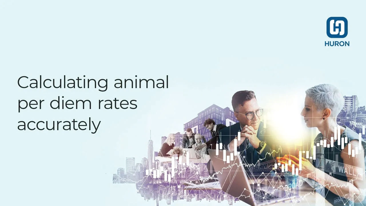 Calculating animal per diem rates accurately
