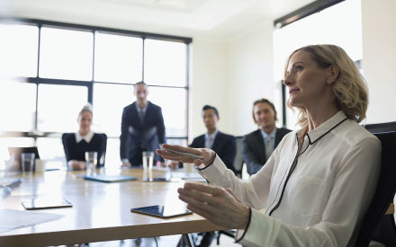 Internal audit support