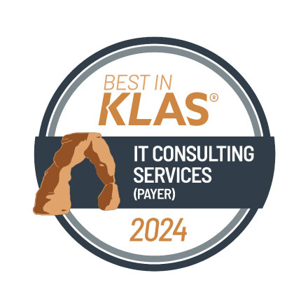 IT Consulting Services (Payer)