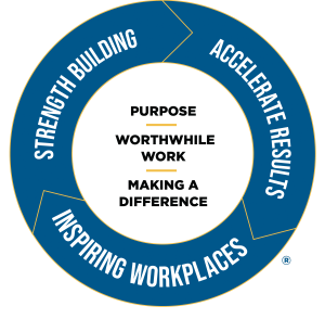 9P levels of development wheel