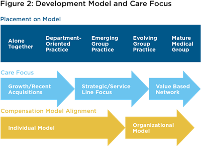 Figure 2: development model and care focus graphic